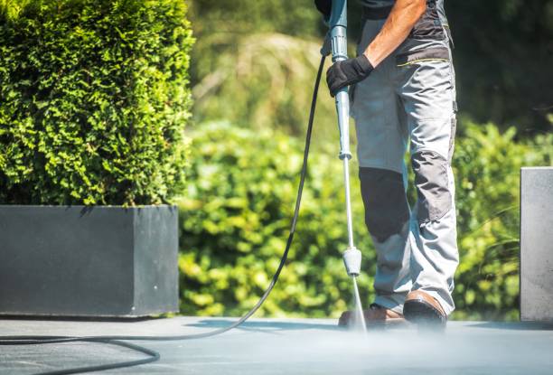 Best Building Exterior Pressure Washing in Gentry, AR