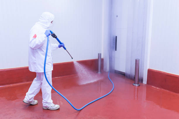 Best Commercial Pressure Washing in Gentry, AR