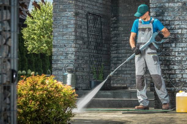 Best Roof Cleaning and Mildew Removal in Gentry, AR