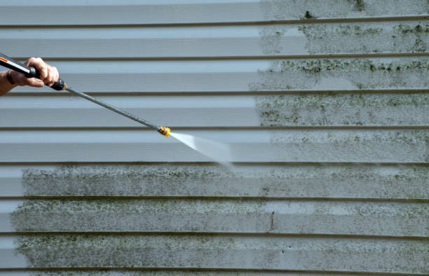 Best Sidewalk and Walkway Pressure Cleaning in Gentry, AR