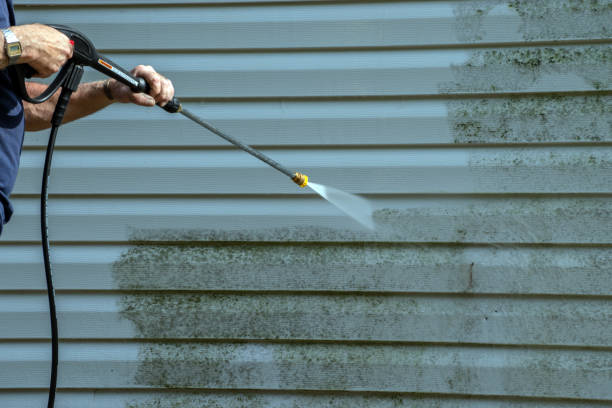 Best Deck and Patio Pressure Washing in Gentry, AR
